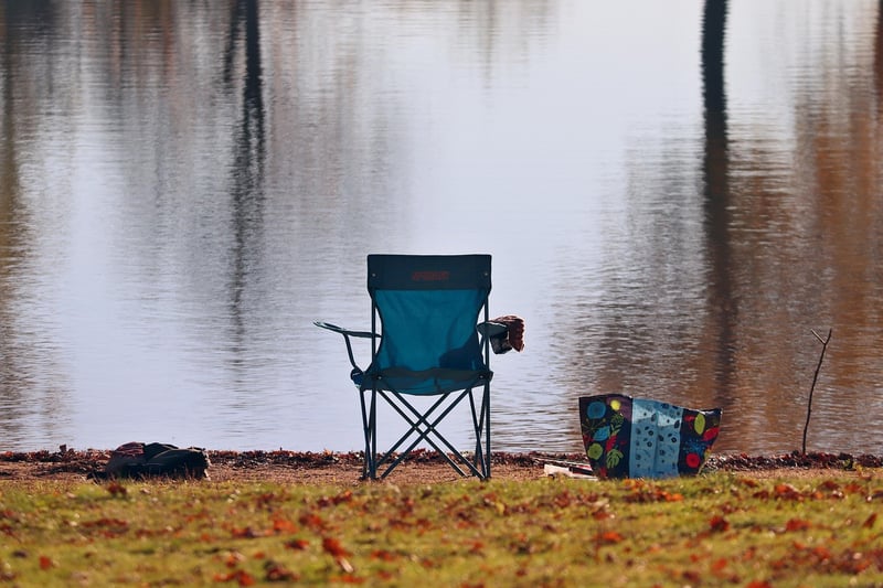 Whimsical seating